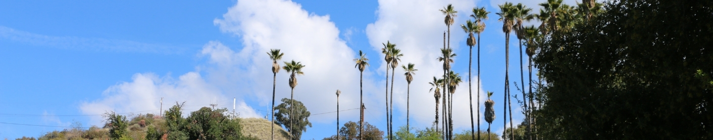 A photo of Johnny Carson Park playground, shade structure, and children playing.